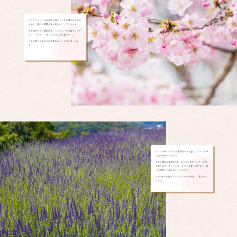 サクラヴィレッジ(セントラーレ・ホテル京丹後)